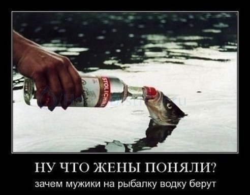 f903d41502db72692cdf0f9bb57ff0871.jpg    