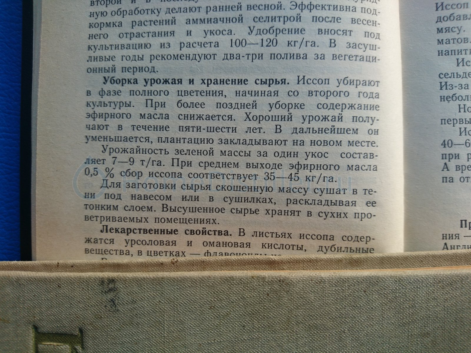 Рецепт абсента (классика). Страница 285.