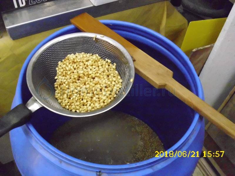 Приготовление браги на диких дрожжах зерна