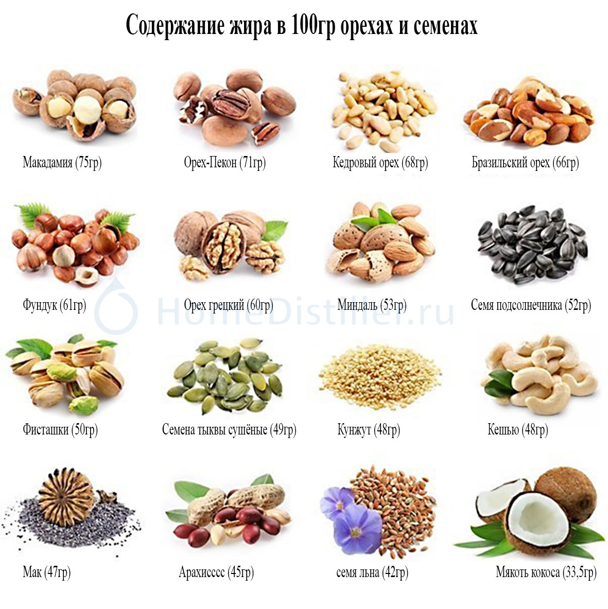 Сколько грамм белка в орехах. Содержание жира в орехах. Содержание жиров в орехах. Что содержится в орехах. Фундук витамины.
