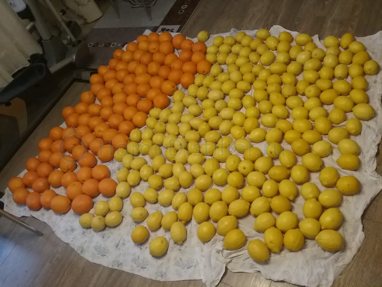 2 рецепта лимончелло на самогоне в домашних условиях