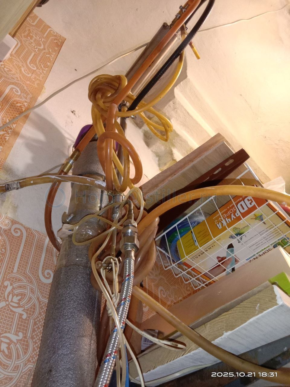  ��� �������