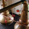 clynelish-distillery-copper-stills.jpg