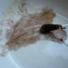 DSCN6232.JPG
