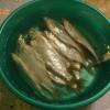 DSC06154.JPG