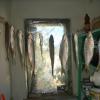 DSC06157.JPG