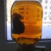 06032013216.jpg