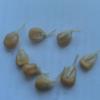 DSC00335.JPG
