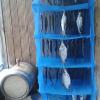 img_20130610_195007.jpg