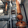 carterhead-stills-reyka-distillery.png