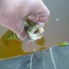 DSCN7848.JPG