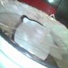 IMG_20130803_161548.jpg