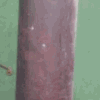 .........PNG