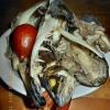 DSCN1773.jpg