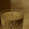 dsc03491.jpg