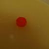 DSC01670.JPG