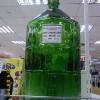 IMG00035.jpg