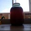 IMG_20140525_135237.jpg