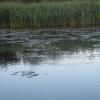 img_1839.jpg
