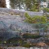 DSCN1642.jpg
