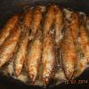 DSCN2188.jpg