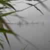 DSCN8602.JPG