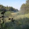 DSCN8608.JPG