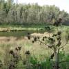 DSCN8609.JPG
