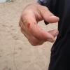 dsc04935.jpg