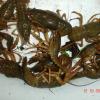 DSC01757.JPG