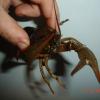 DSC01758.JPG
