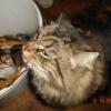 DSC01759.JPG