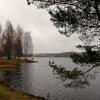 IMG_6687.jpg