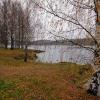 IMG_6689.jpg