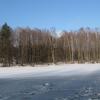 img_0313.jpg
