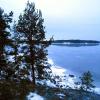 DSCN2362.jpg