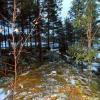 DSCN2364.jpg