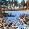 DSCN2480.jpg