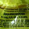 img10037.jpg