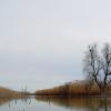 dsc06068.jpg