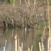 img_1155.6.jpg