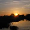 img_1162.jpg