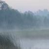 img_1400.jpg