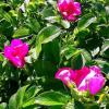 20150617_160036.jpg
