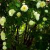 20150617_160825.jpg