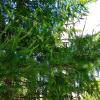 20150617_161858.jpg