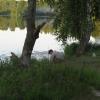 img_1488.9.jpg