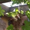20150709_085743.jpg