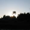 img_1658.7.jpg