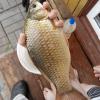 20150530082306.jpg
